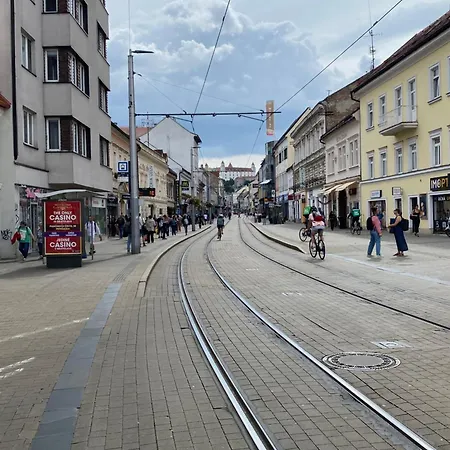 Old Town 1bdr Private Parking 公寓 *